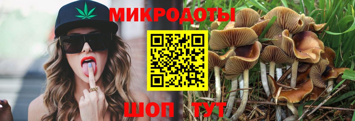 Псилоцибиновые грибы Cubensis Гусиноозёрск