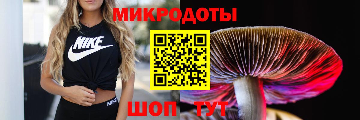 Гусиноозёрск  Галлюциногенные грибы Psilocybine cubensis  Вход с VPN 